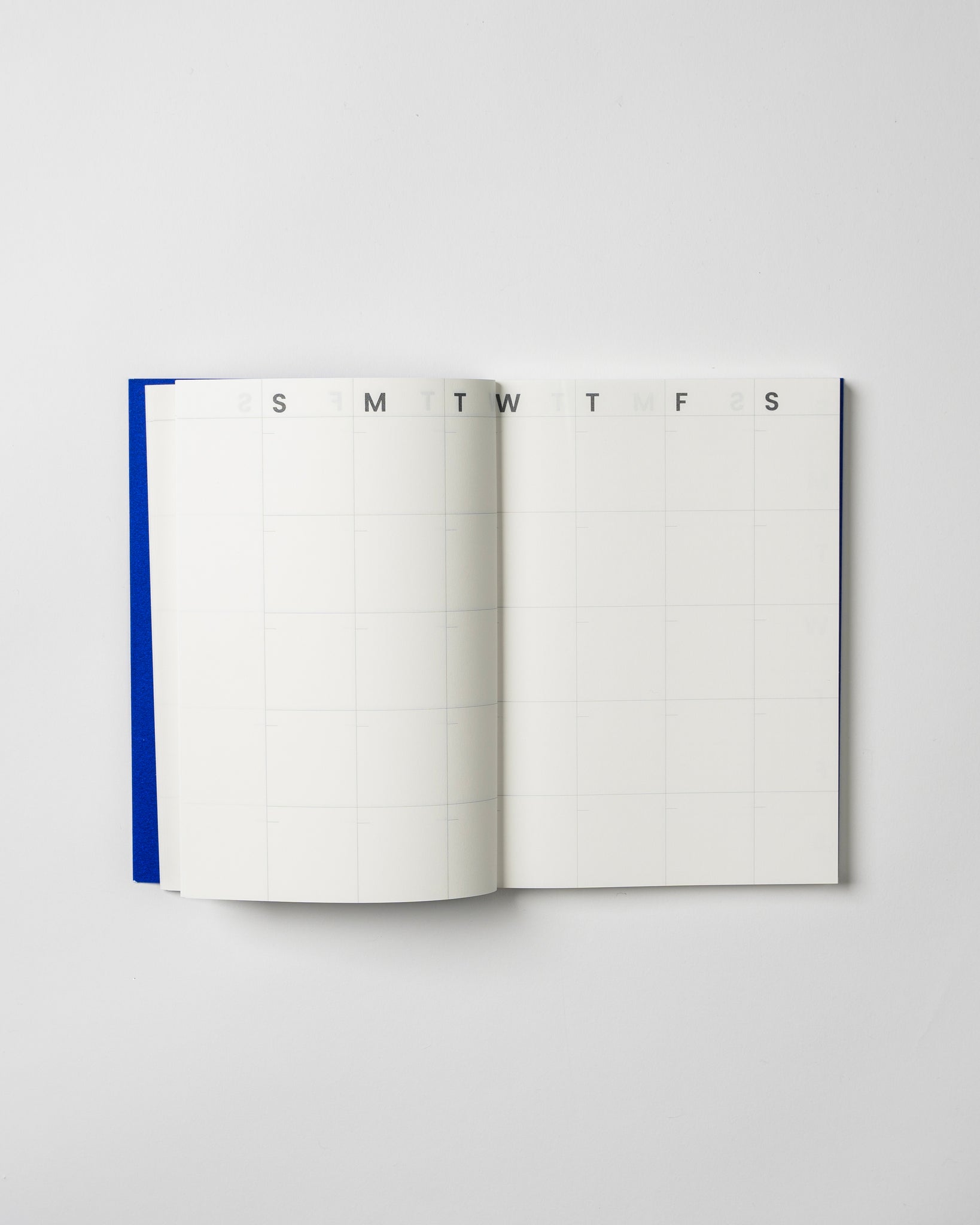 Undated Planner — "Yves Klein Blue"